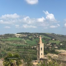 Urbino